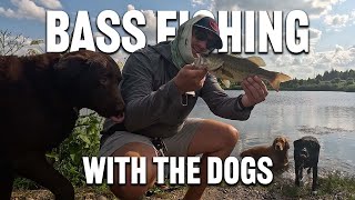 Fishing A Small BASS POND With THE DOGS!