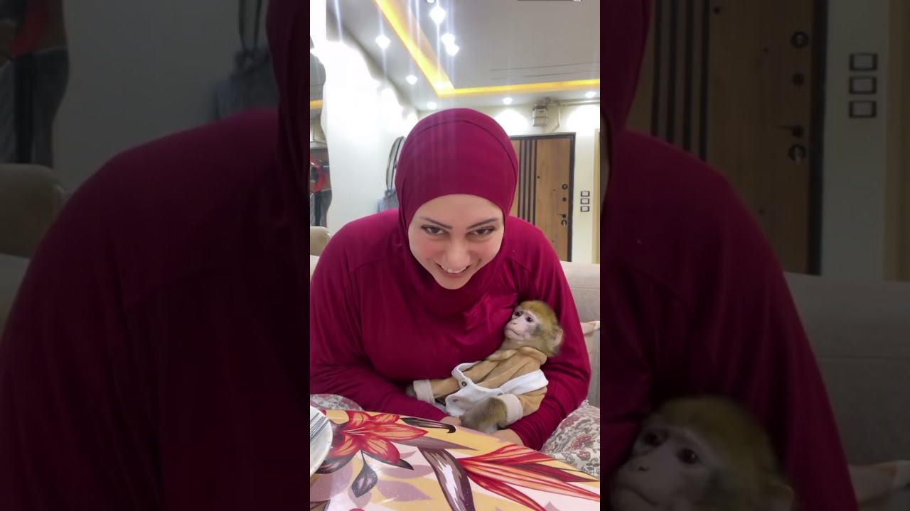 ام دونا ملهاش حل