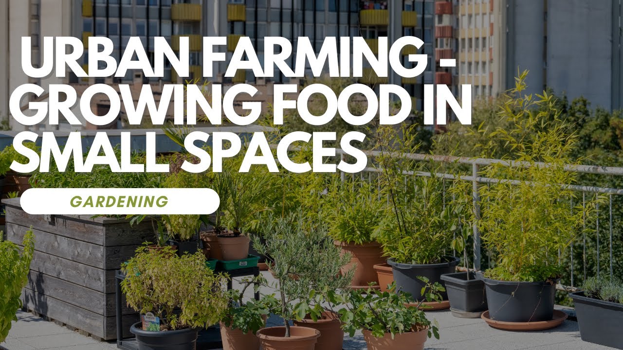 Urban Farming - Growing Food in Urban Settings and Small Spaces - YouTube