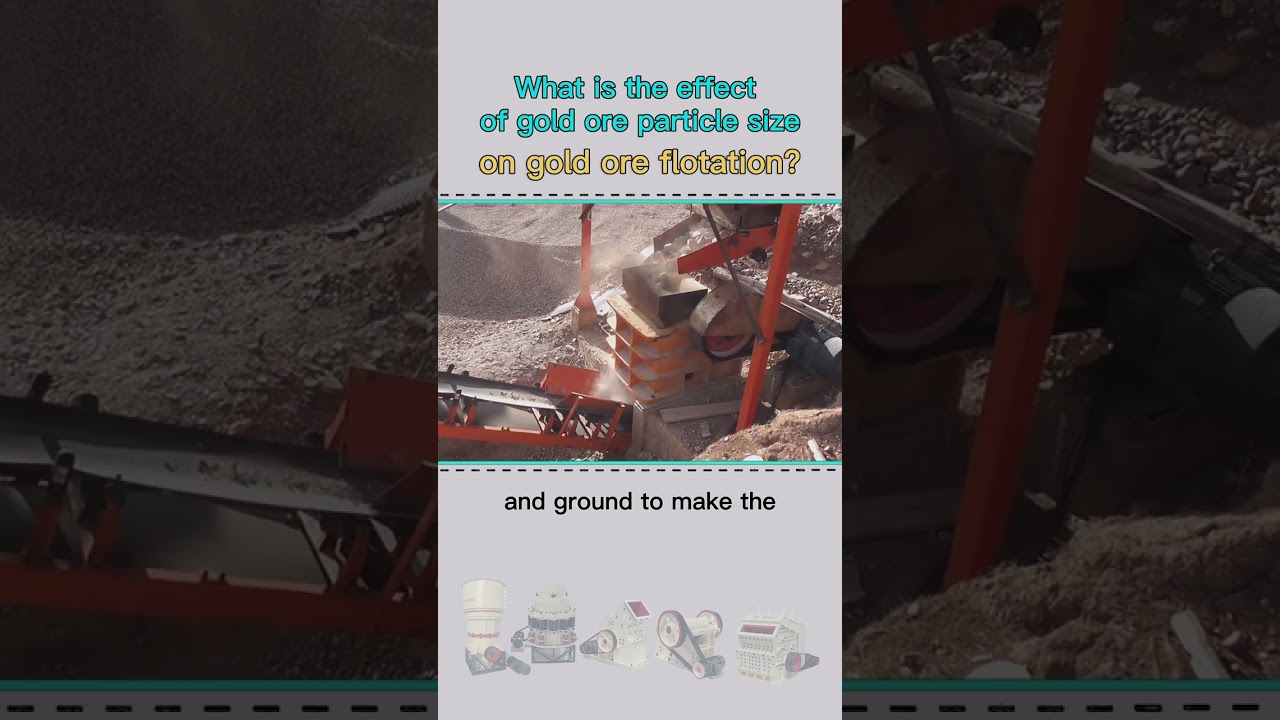 What is the key factor in gold ore flotation purification?