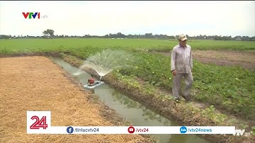 Lão nông miền Tây sáng chế máy tưới nước tự động giá rẻ bất ngờ| VTV24