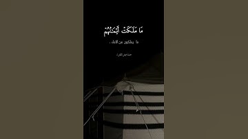 إبداع الشيخ محمد اللحيدان في سورة المؤمنون🍃🤍