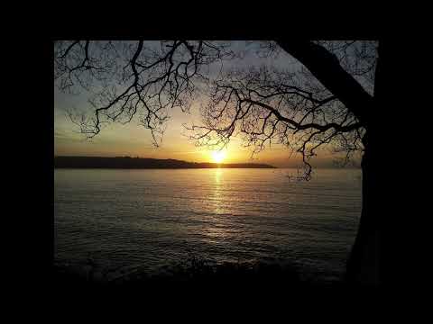 The Intangible-"Sadness of Things"