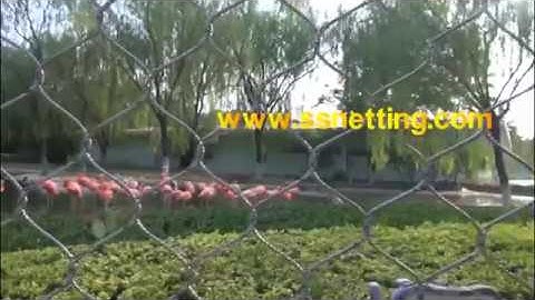flamingo bird cage mesh, flamingo fence netting, bird netting for flamingo enclosure