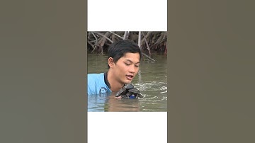 Nhà Hai Lúa | Cùng Nhà Hai Lúa trải nghiệm đi bắt vọp nhen cả nhà #shorts #nhahailua