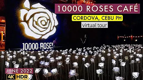 [4K CEBU ]   THE 10000 ROSES CAFE OF CORDOVA CEBU ...