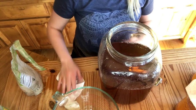 Growing A Scoby: How To Grow A Scoby - The Edgy Veg