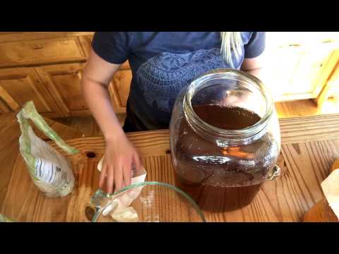 how-to-make-continuous-brew-kombucha