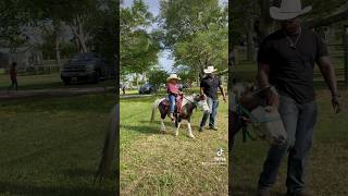 #alvin #horse #houstonarea #fatherandson