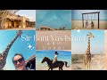 VLOG: Girls trip to Sir Bani Yas Island, Abu Dhabi! 🦚🏝️🦒