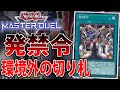 【カード考察】エヴァイユのお供だけじゃない!ガチ勢が発禁令を徹底解説【遊戯王MasterDuel】