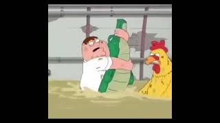 family guy Peter and chicken fighting