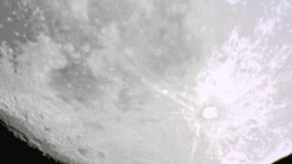 April 24 Observation Clips