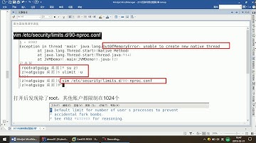 【大厂高频重点面试题（第二季）】86 OOM之unable to create new native thread上限调整
