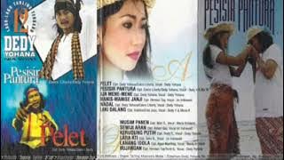 LAGU LAGU TARLING DEDY YOHANA _ pelet