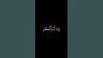 القارئ: محمد صديق المنشاوي | سورة الشعراء | من اية 108 إلى آية 109 | #القرآن_الكريم #المنشاوي