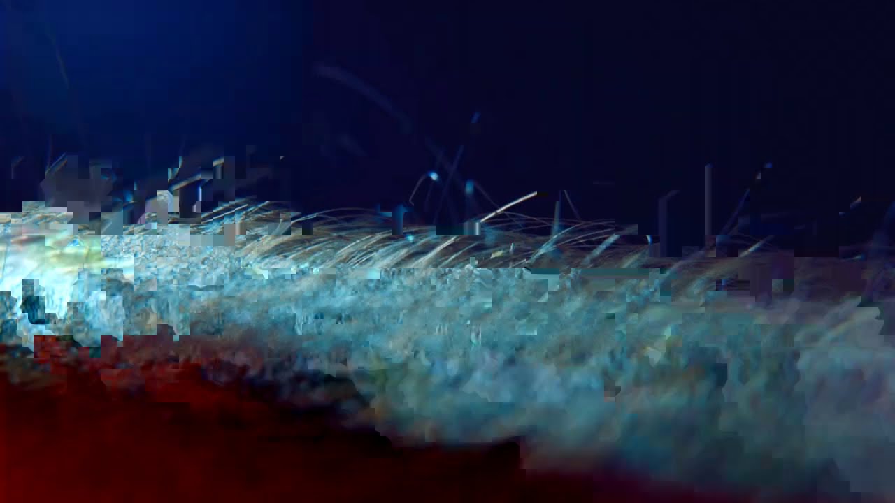 Autofestival 2021 : GOLF GTI