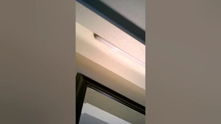 Definition of a rap flow R.A. The Rugged man contest- "Melodic"