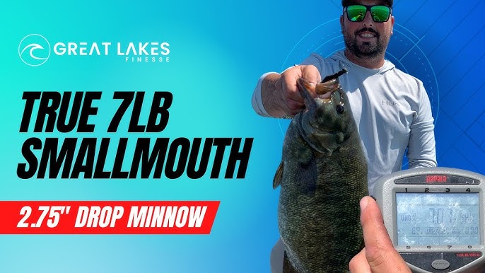 2.75 Drop Minnow — Great Lakes Finesse