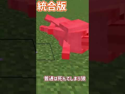 統合版 狼を無敵にする方法 バグ 裏技 マインクラフト Shorts Youtube