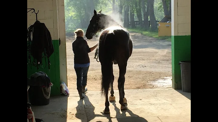 The Fastest Trotter in History - Sebastian K.