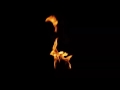 Fire stock footage