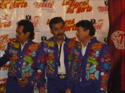 INFIEL POR AMOR los tigres del norte