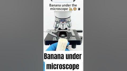 banana under microscope #short #microscope