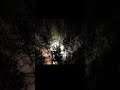 Rottne H8 Thinning pine Night See whole Video On channel #forestmachine #rottne #nightdriving