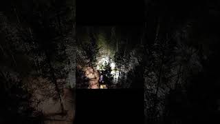 Rottne H8 Thinning pine Night See whole Video On channel #forestmachine  #rottne #nightdriving