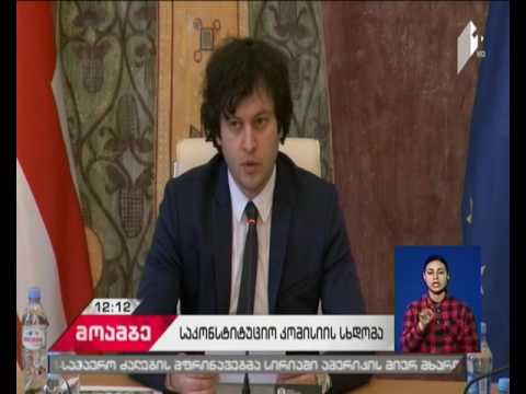 ირაკლი კობახიძე საკონსტიტუციო კომისიის მუშაობას აფასებს