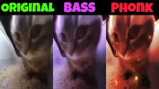 Chipi Chipi Chapa Chapa Original vs Phonk vs Bass part 1 Resimi