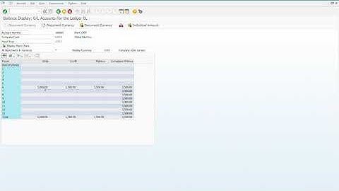 FI Step 11 Display and Review General Ledger