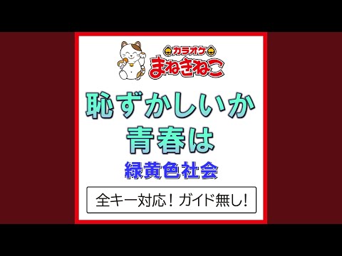 恥ずかしいか青春は -2KEY（カラオケ） [Originally Performed By 緑黄色社会]