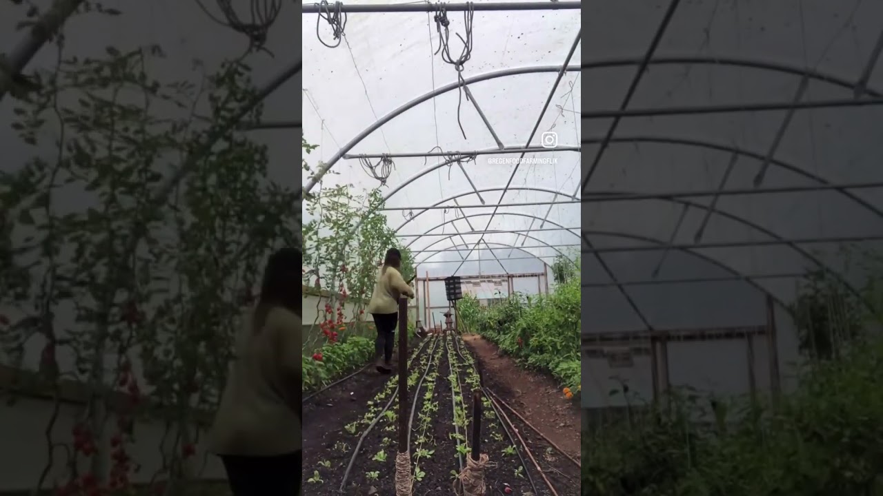Polytunnel timelapse at The Sharpham Trust