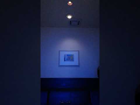 ⭐️浜崎あゆみ 「SURREAL」🎵歌ってみました⭐️