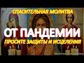 Спасительные молитвы от пандемии. Просите у Господа защиты и исцеления от тяжкой болезни