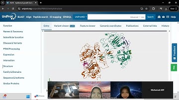 LAPORAN PRAKTIKUM BIOINFORMATIKA OBJEK 3 : UNIPROT ||PROTEIN EGFR || KELOMPOK 4A BIOLOGI UNAND