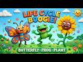 Life Cycle Boogie 🦋🐸🌱 | Fun Metamorphosis Song for Kids