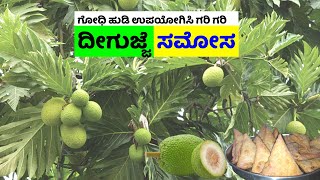 ದೀಗುಜ್ಜೆ ಸಮೋಸ | DEEGUJJE SAMOSA | BREAD FRUIT SAMOSA