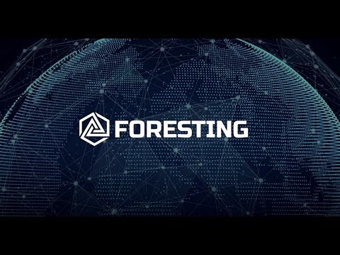 🔘Обзор проекта Foresting Техническая документация🔘