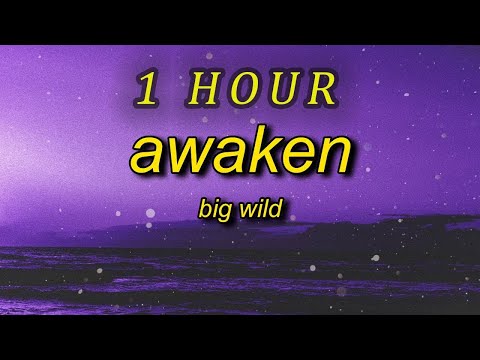 Big Wild Lyrics