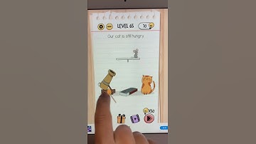 Brain Test Level 65 Our cat is still hungry