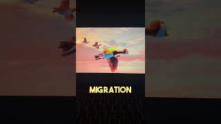 The Wild Robot Might Have Some Crazy Lore