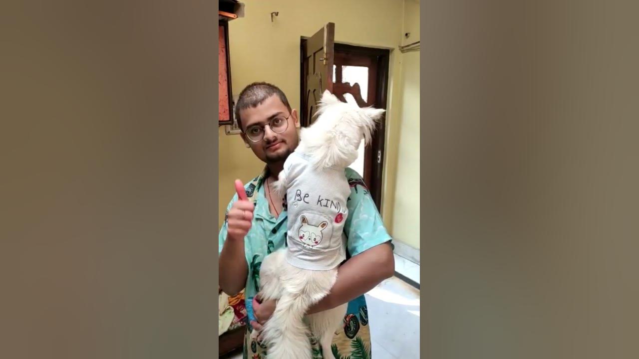 how-to-make-dog-dress-doglover-ytshorts-viralshorts-viral-dogdress