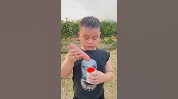 Cậu bé tốt bụng lần đầu ăn xúc xích và cái kết hài hước#shorts​​