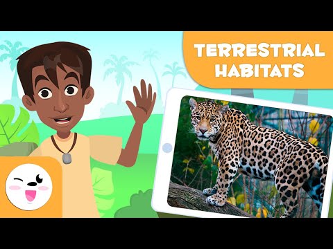 Explore Terrestrial Habitats - Types of Habitats for Children