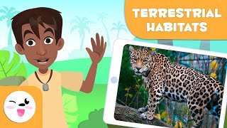 Explore Terrestrial Habitats  Types of Habitats for Children