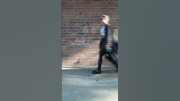 How shutter affects your video…check out the differences #shutterspeed