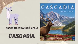 Cascadia  / Каскадия– новая звезда среди абстрактных настольных игр.
